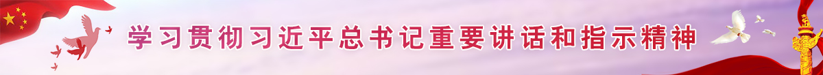 学习贯彻落实习近平总书记系列重要讲话精神