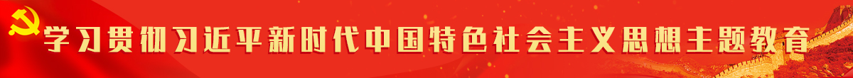 学习贯彻习近平新时代中国特色社会主义思想主题教育