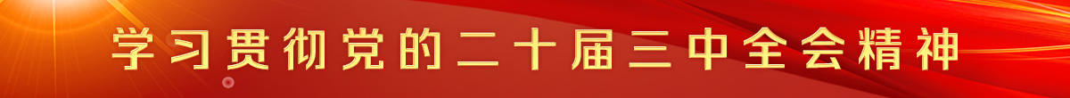 学习贯彻党的二十届三中全会精神