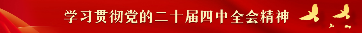 学习贯彻党的二十届四中全会精神